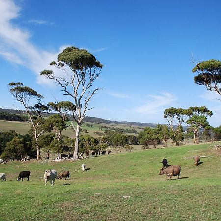 Back Valley Farmstay Bed And Breakfast Victor Harbor Exteriér fotografie