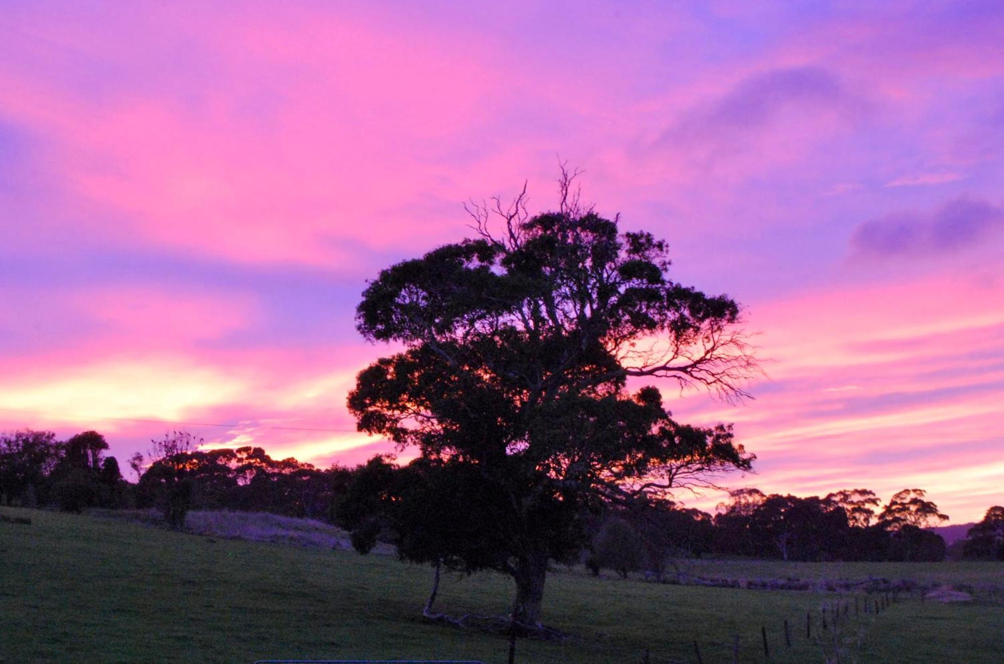 Back Valley Farmstay Bed And Breakfast Victor Harbor Exteriér fotografie