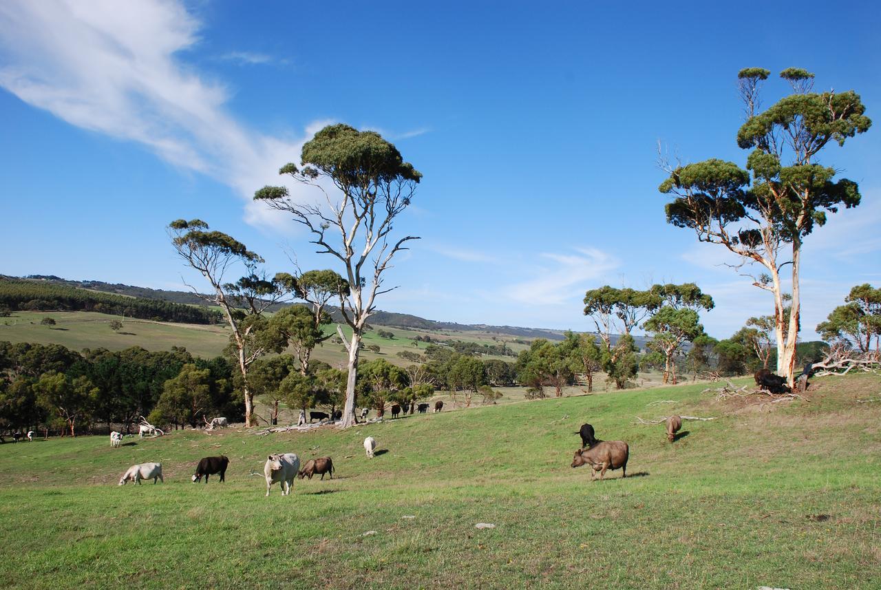Back Valley Farmstay Bed And Breakfast Victor Harbor Exteriér fotografie